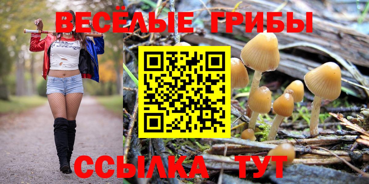 Галлюциногенные грибы Magic Shrooms Кохма