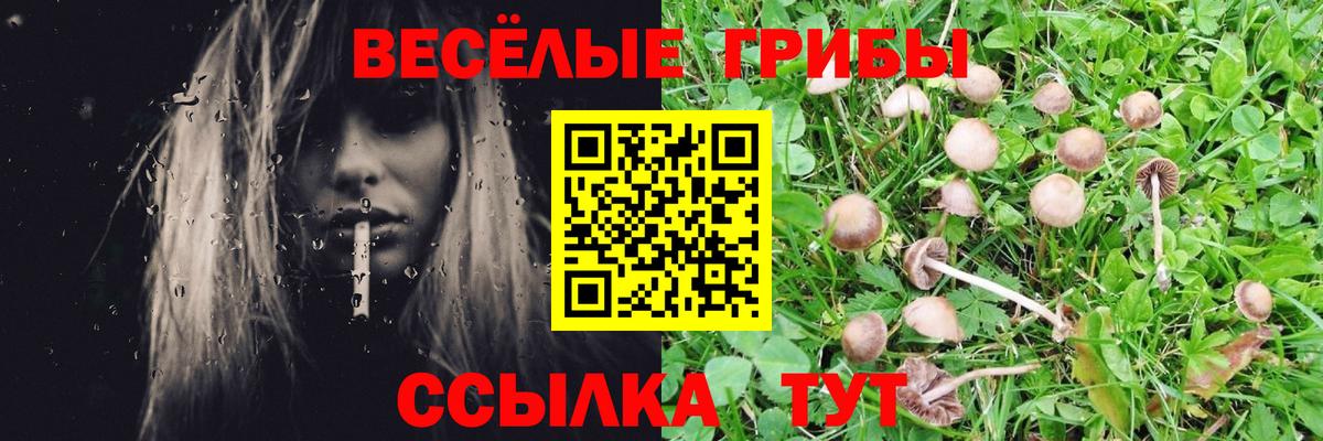 Галлюциногенные грибы Psilocybine cubensis  Галлюциногенные грибы мицелий  Кохма  Вход с VPN 